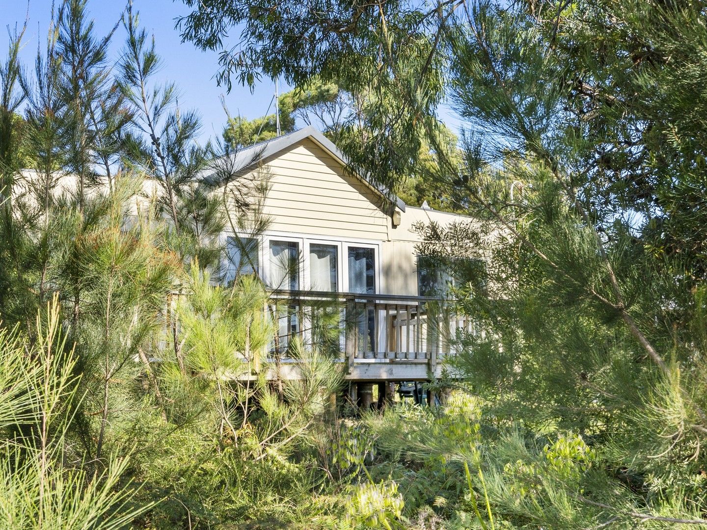 51 Free Street, White Beach TAS 7184, Image 0