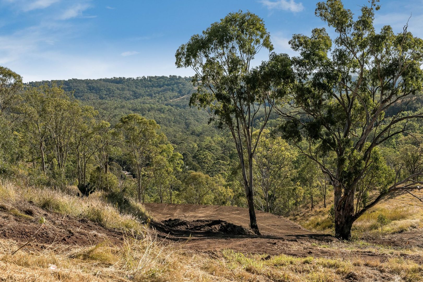 20 Keira Court, Blue Mountain Heights QLD 4350, Image 2