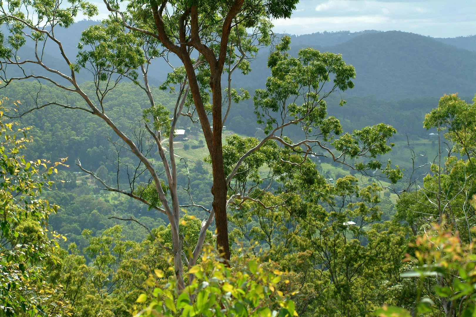 Image 15