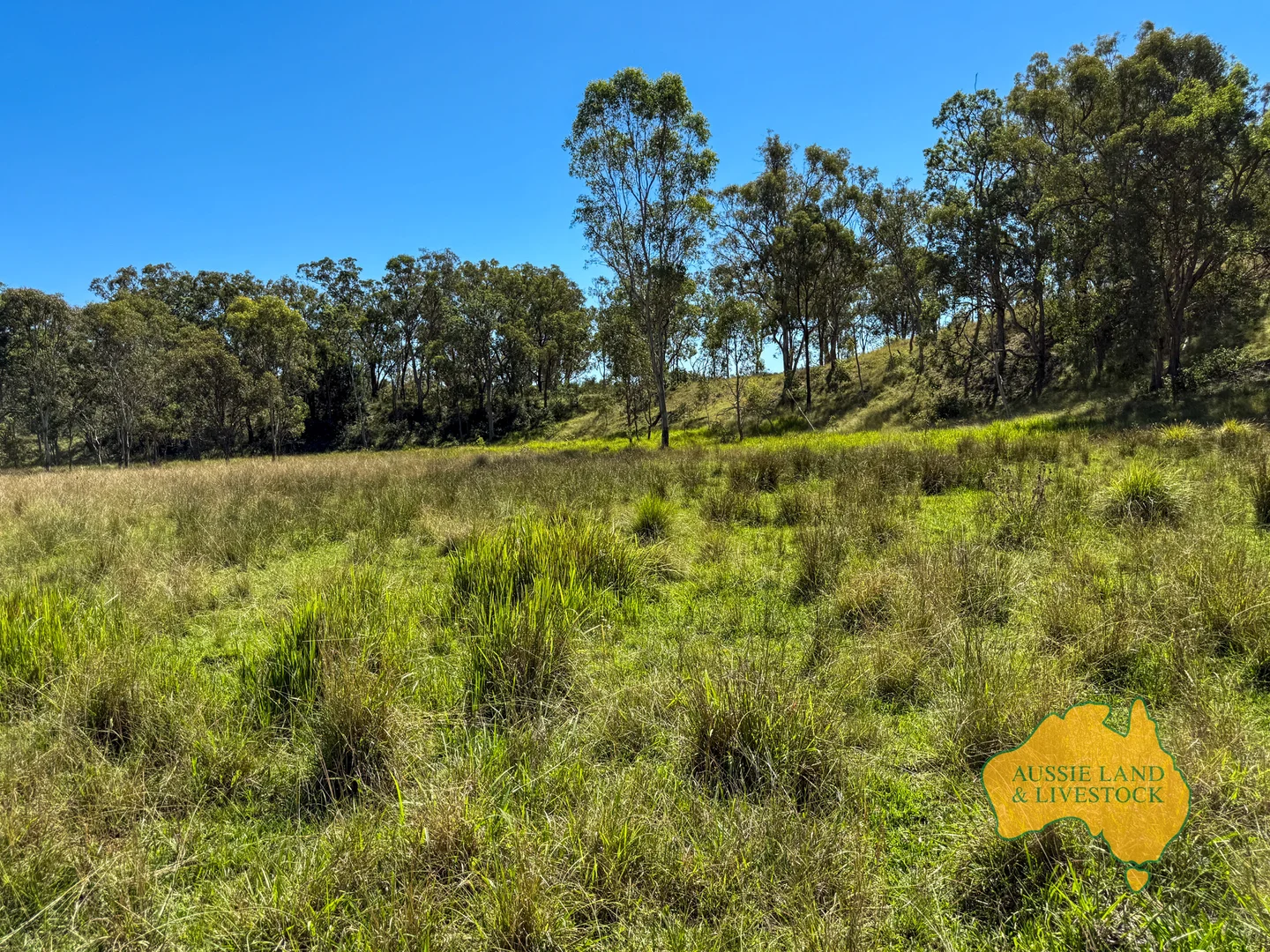 Additional image 15 of 55, . TIM SHEA CREEK ROAD, Wengenville QLD 4615