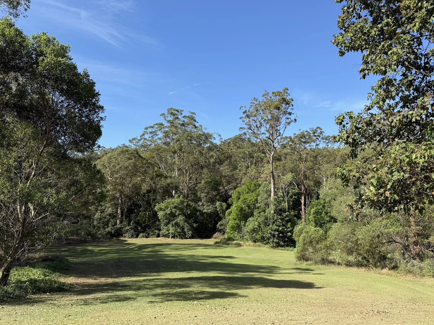 Image 15