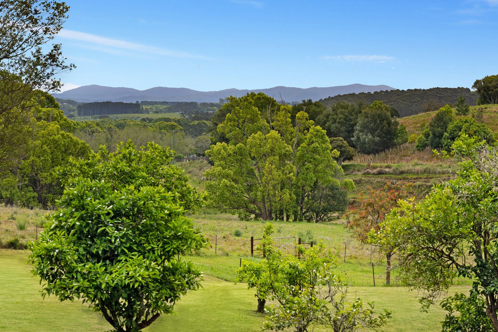 597 Houghlahans Creek Road, Pearces Creek NSW 2477, Image 1