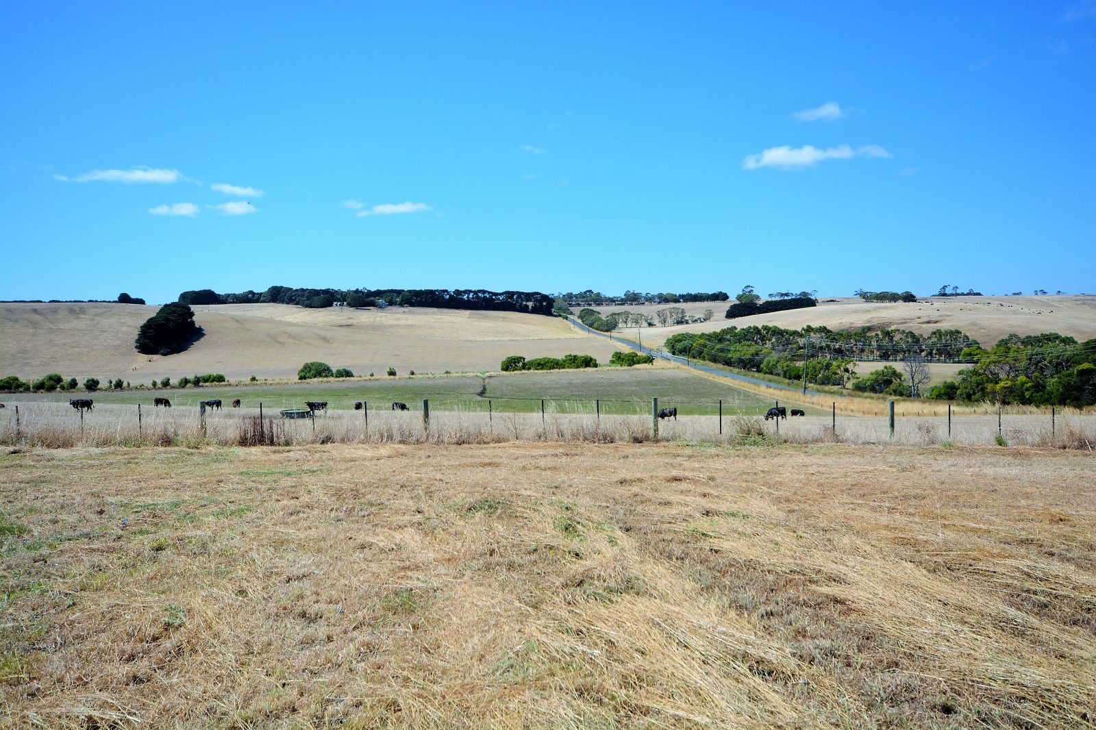 Lot 7 Crothers Lane, Grassmere VIC 3281, Image 0