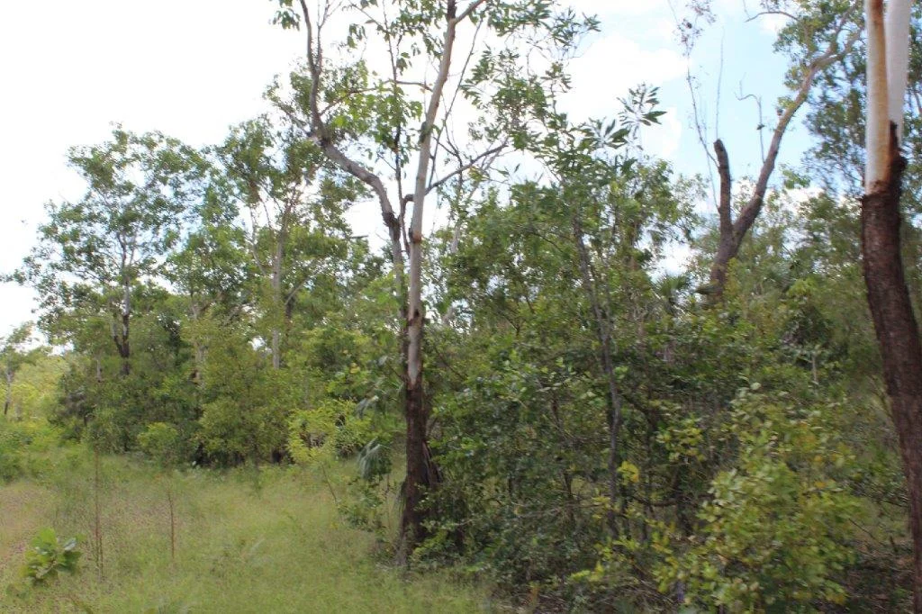 Additional image 22 of 155 Serrata Road, Dundee Downs NT 0840