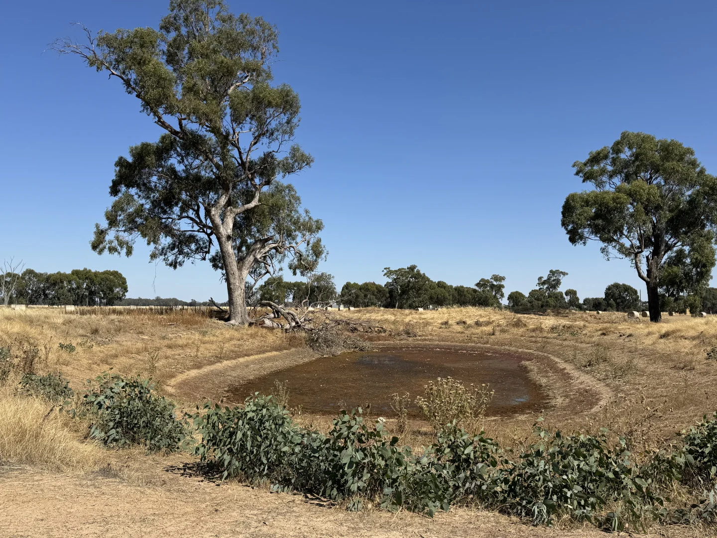 Image 12