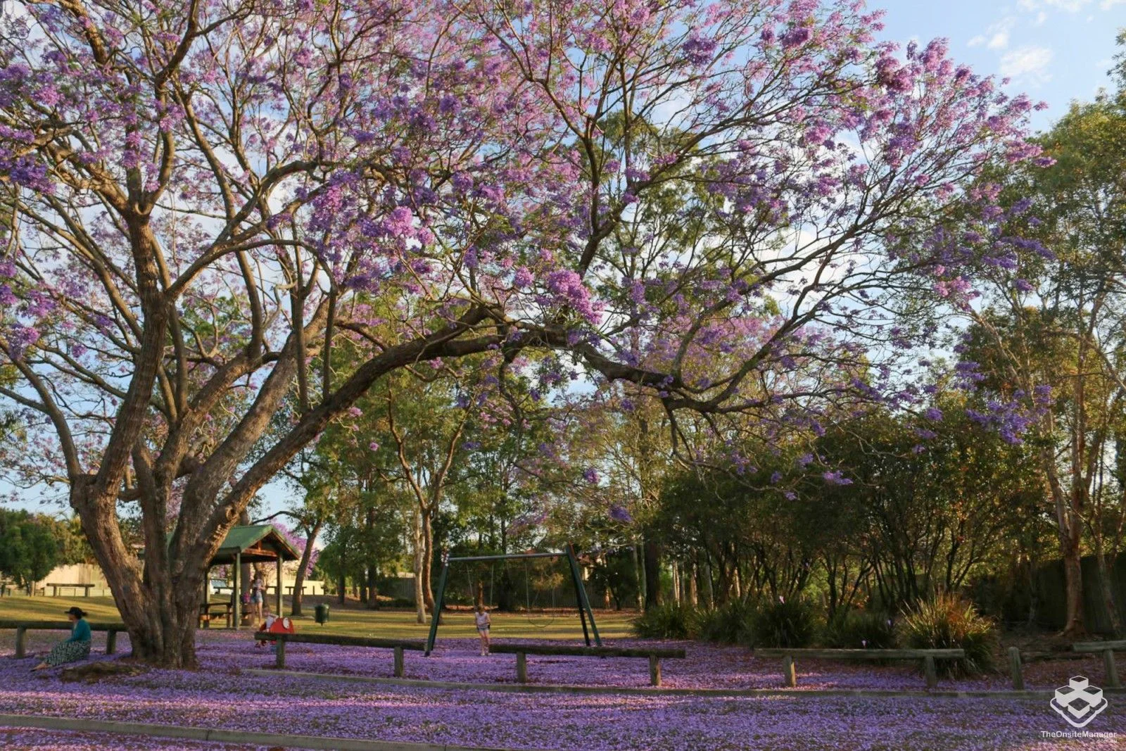 Additional image 12 of ID:21173960/18 Sunny Court, Sunnybank Hills QLD 4109