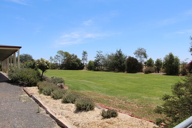 Lot 1 Zanotto Road, NERICON NSW 2680, Image 2