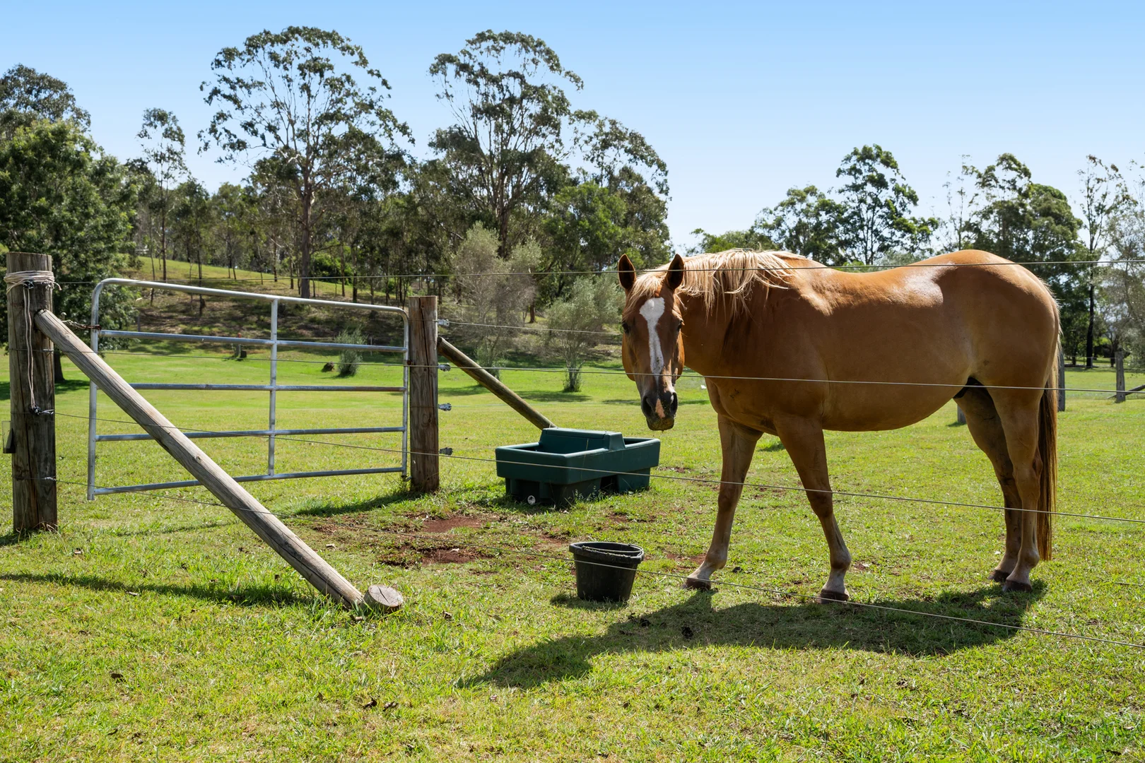 Additional image 20 of 205 Hampton Road, Hampton QLD 4352