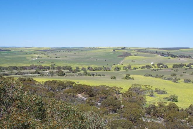 Picture of 435 Tootbardie Road, BADGINGARRA WA 6521