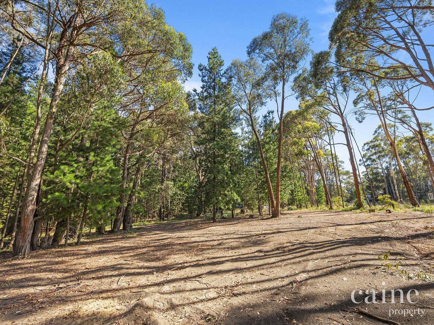 1400 Daylesford Malmsbury Road, Denver VIC 3461 Rural Lifestyle