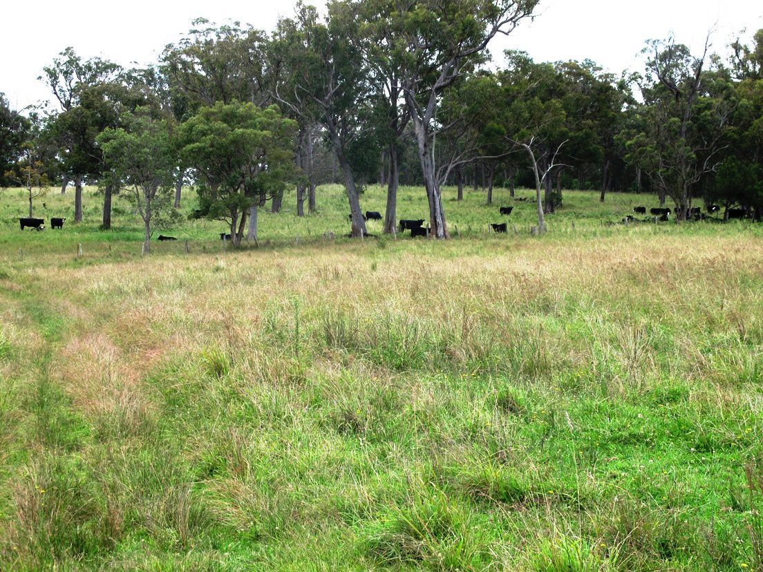 Lot 59 Cattarin Lane, Liston NSW 2372, Image 1