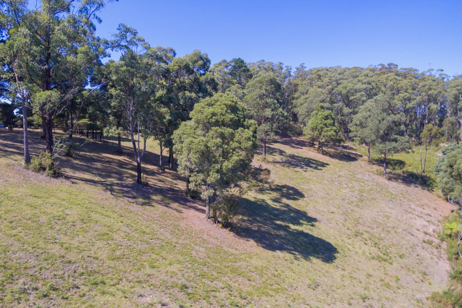1 Happy Go Lucky Road, Walhalla VIC 3825 Vacant Land for Sale 200,000