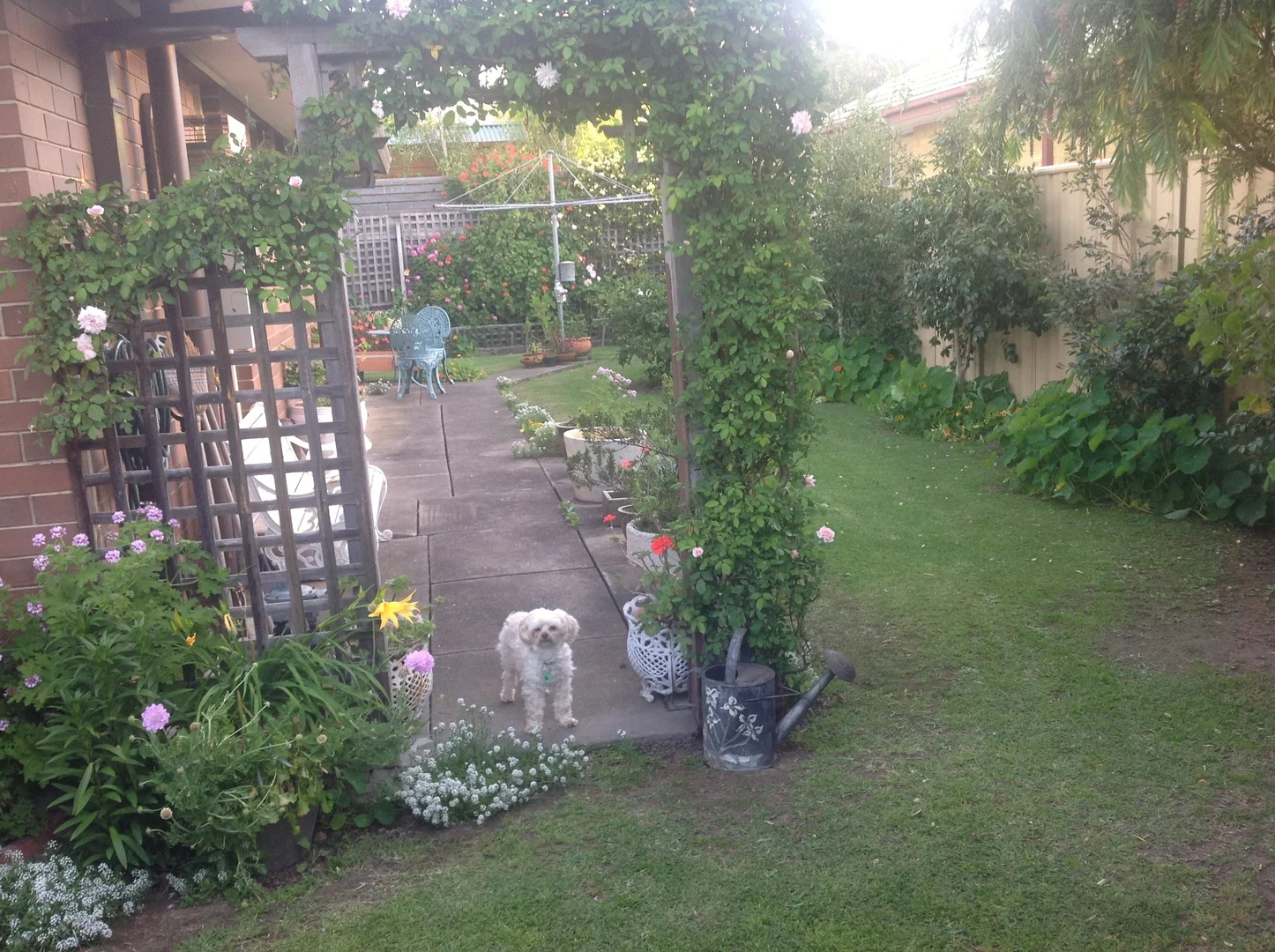 Image 11