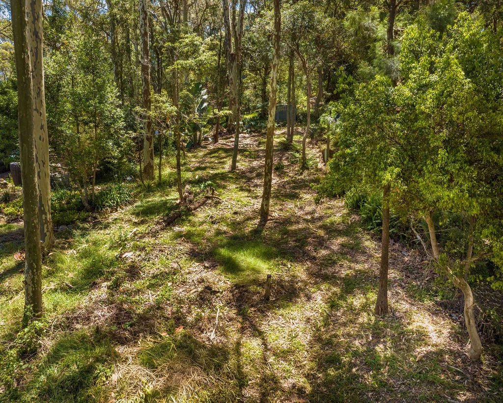 Image 5