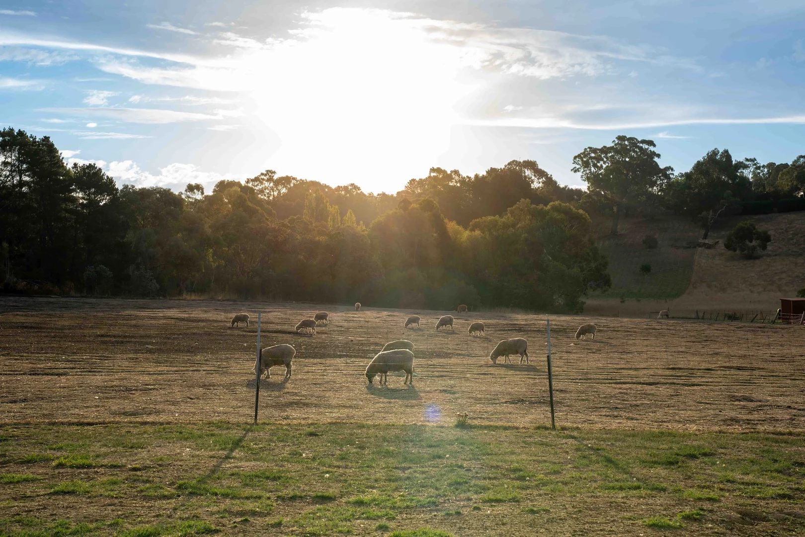 Additional image 17 of 45 Criterion Court, Clunes VIC 3370