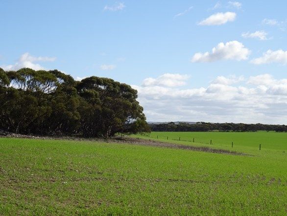 Lot 25 Chaunceys Line Rd, Monarto South SA 5254, Image 2