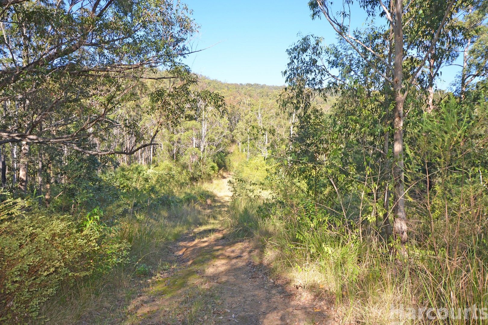355 Cowal Creek Road, Bellangry NSW 2446, Image 0
