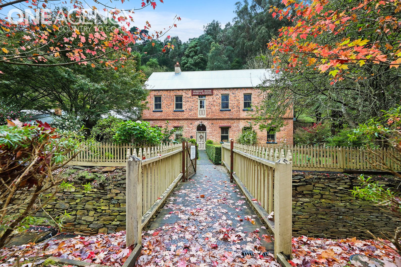 12 Right Hand Branch Road, Walhalla VIC 3825 Domain