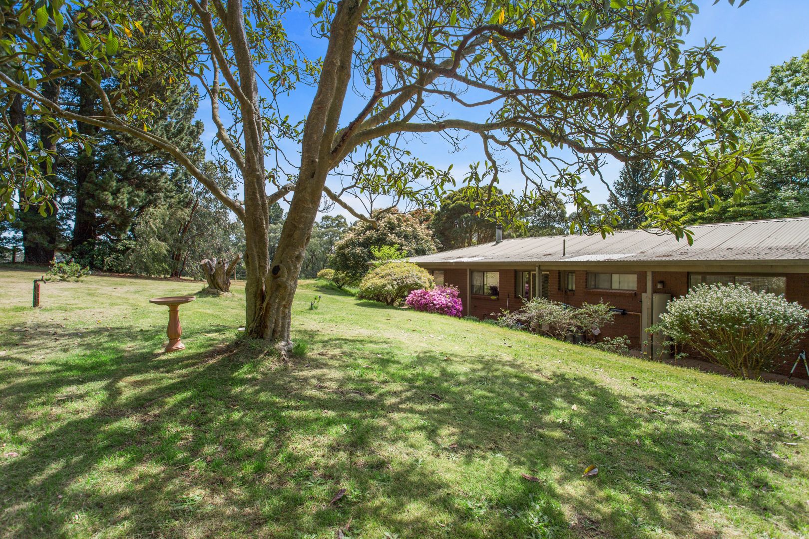 23 Shorthouses Road Shady Creek 3821, Shady Creek VIC 3821, Image 1