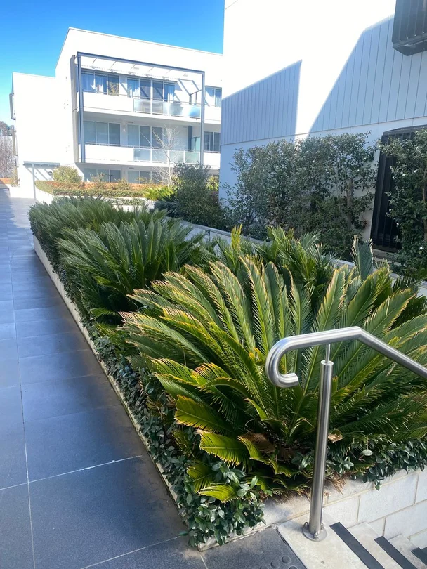 Image 9