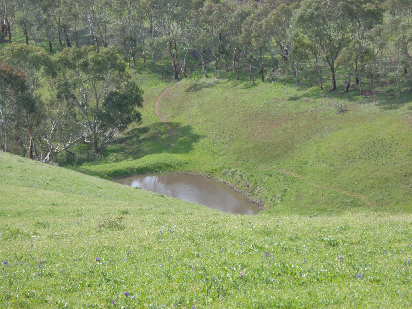 Lot 4 Whitelaw Road, Myponga Beach SA 5202, Image 1