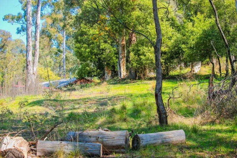 Additional image 5 of 9 Christensen Street, Sawmill Settlement VIC 3723