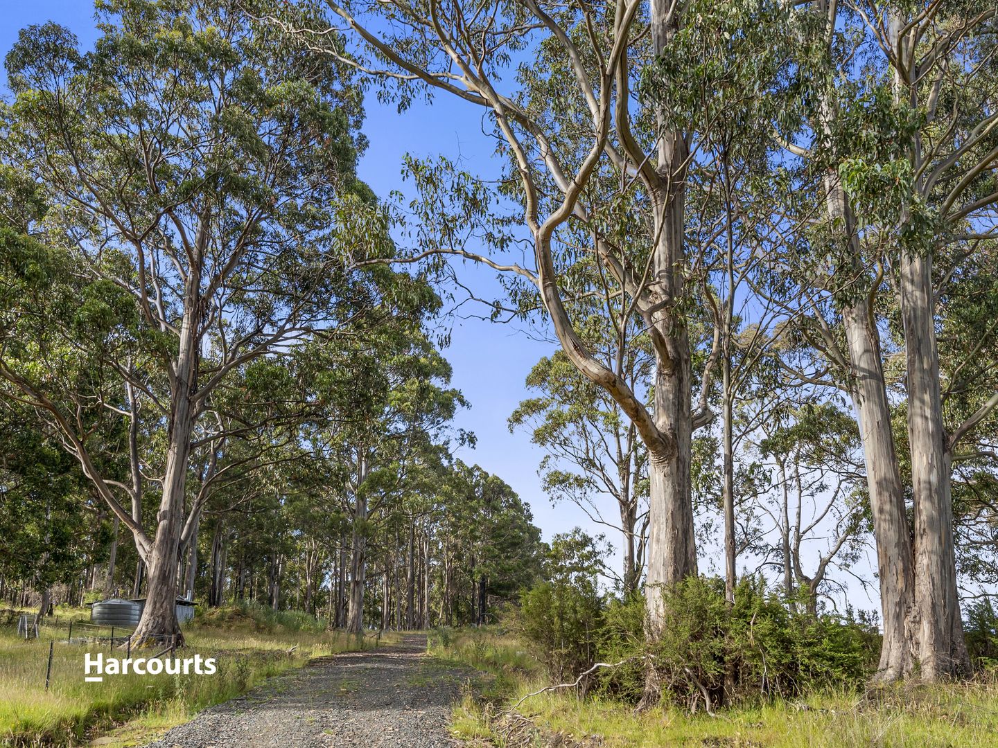 Lot 2 Lightwood Creek Road, Glen Huon TAS 7109, Image 2