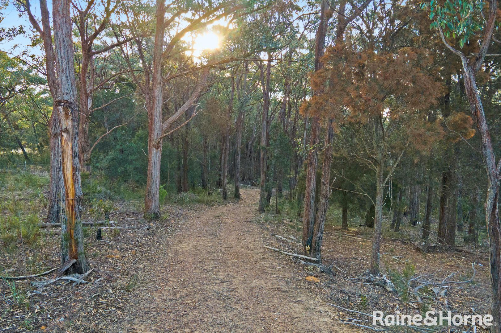 2503 Towrang Road, Brayton NSW 2579 Domain