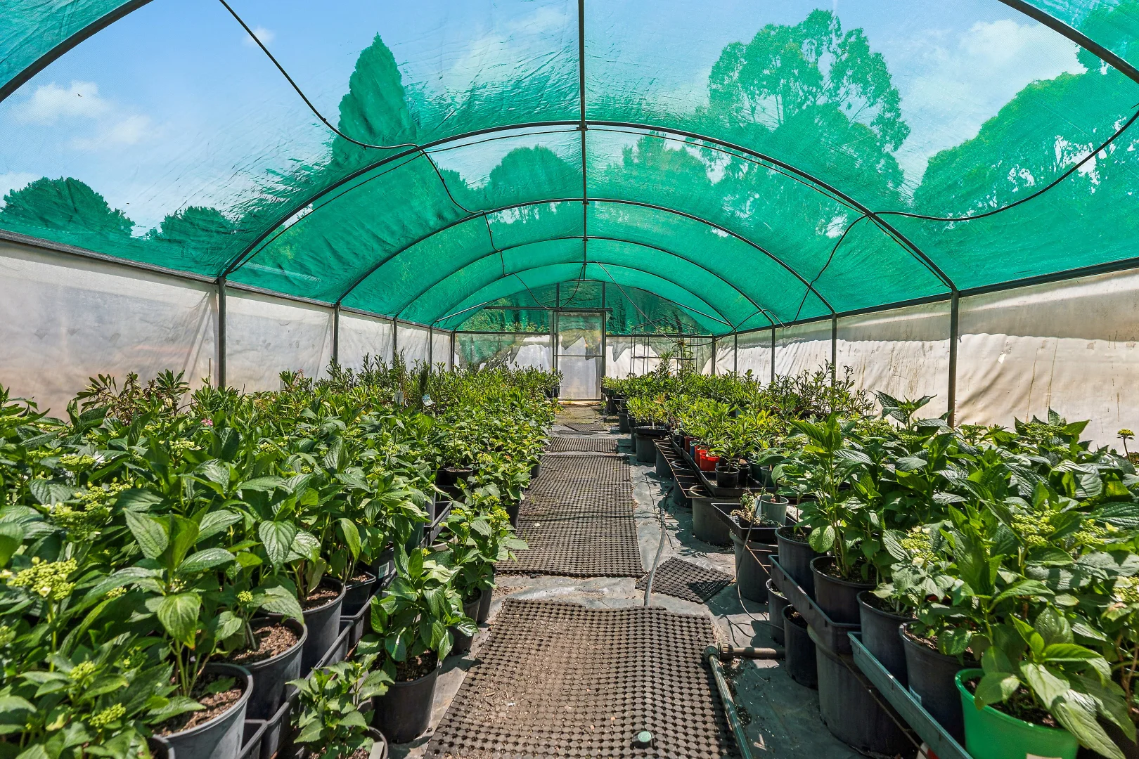 Additional image 19 of 107 Mill Road, Batlow NSW 2730