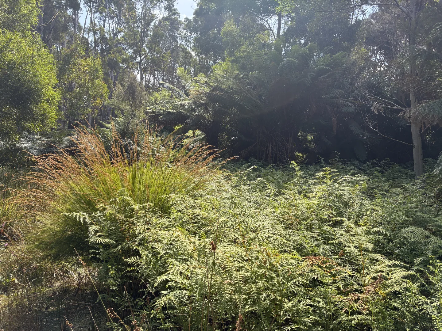 Additional image 6 of 306 Coopers Road, Rocky Cape TAS 7321