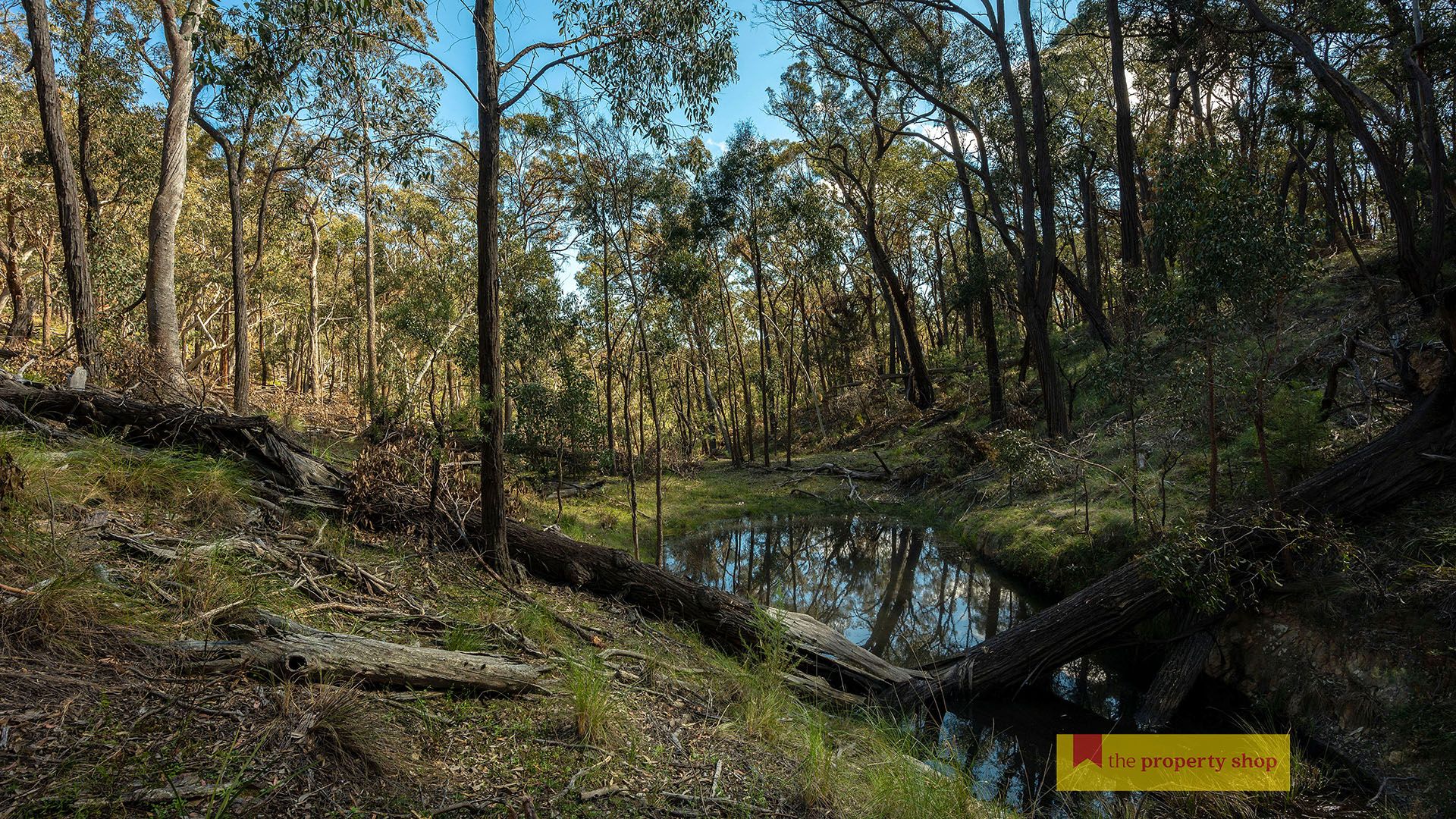156 Triangle Swamp Road, Mudgee NSW 2850, Image 1