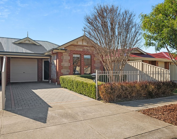 19 Allison Street, Ascot Park SA 5043