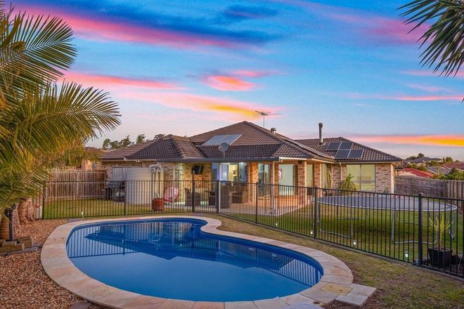 60 Sunview Road Springfield 4300 - Image 3