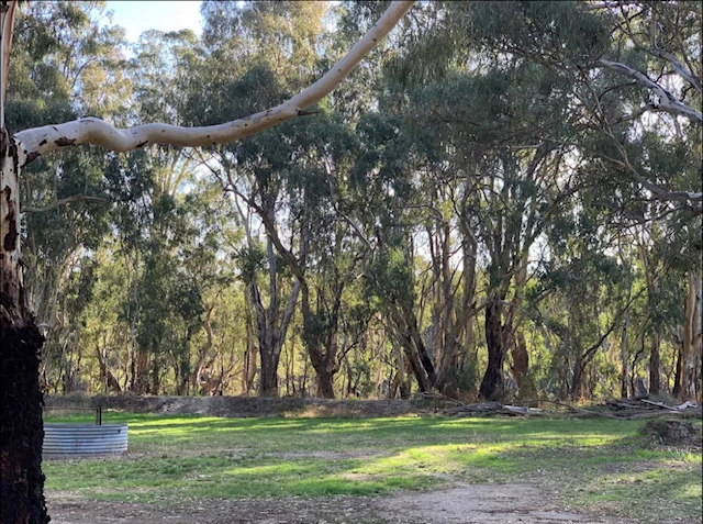 Image 12