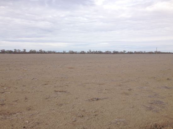 "BELMONT" LOT 50, DP 752271, Walgett NSW 2832, Image 2