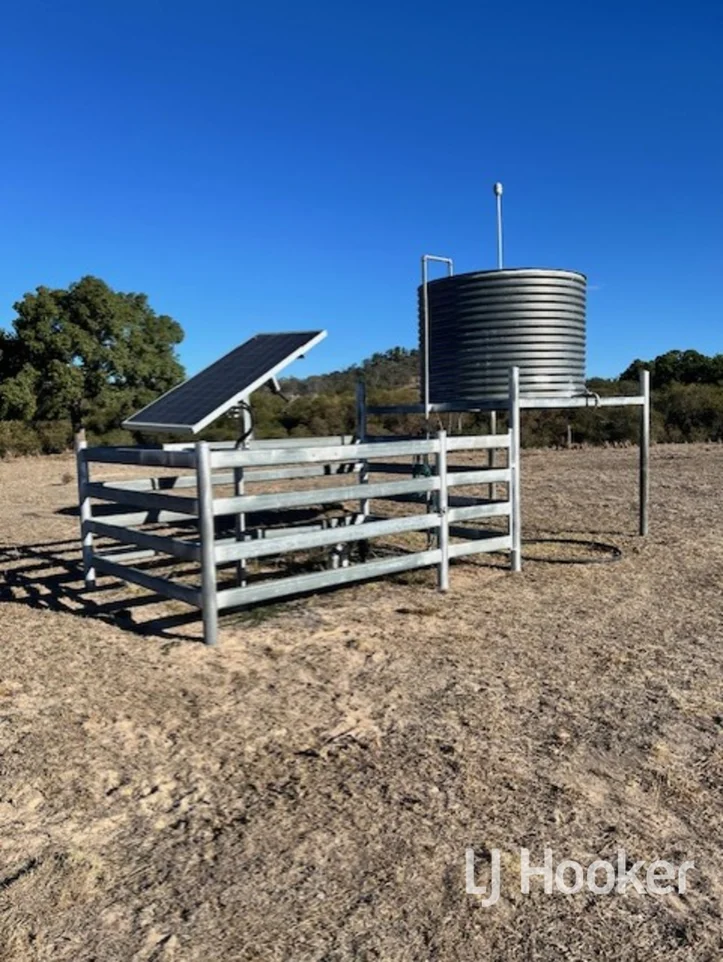 Additional image 14 of 296 Limestone Road, Inverell NSW 2360