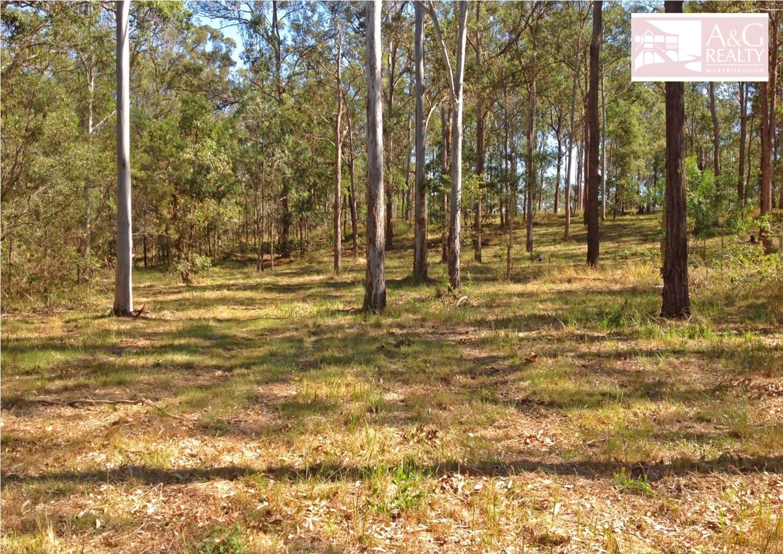 Lot 311 Faine Road, Bauple QLD 4650, Image 0