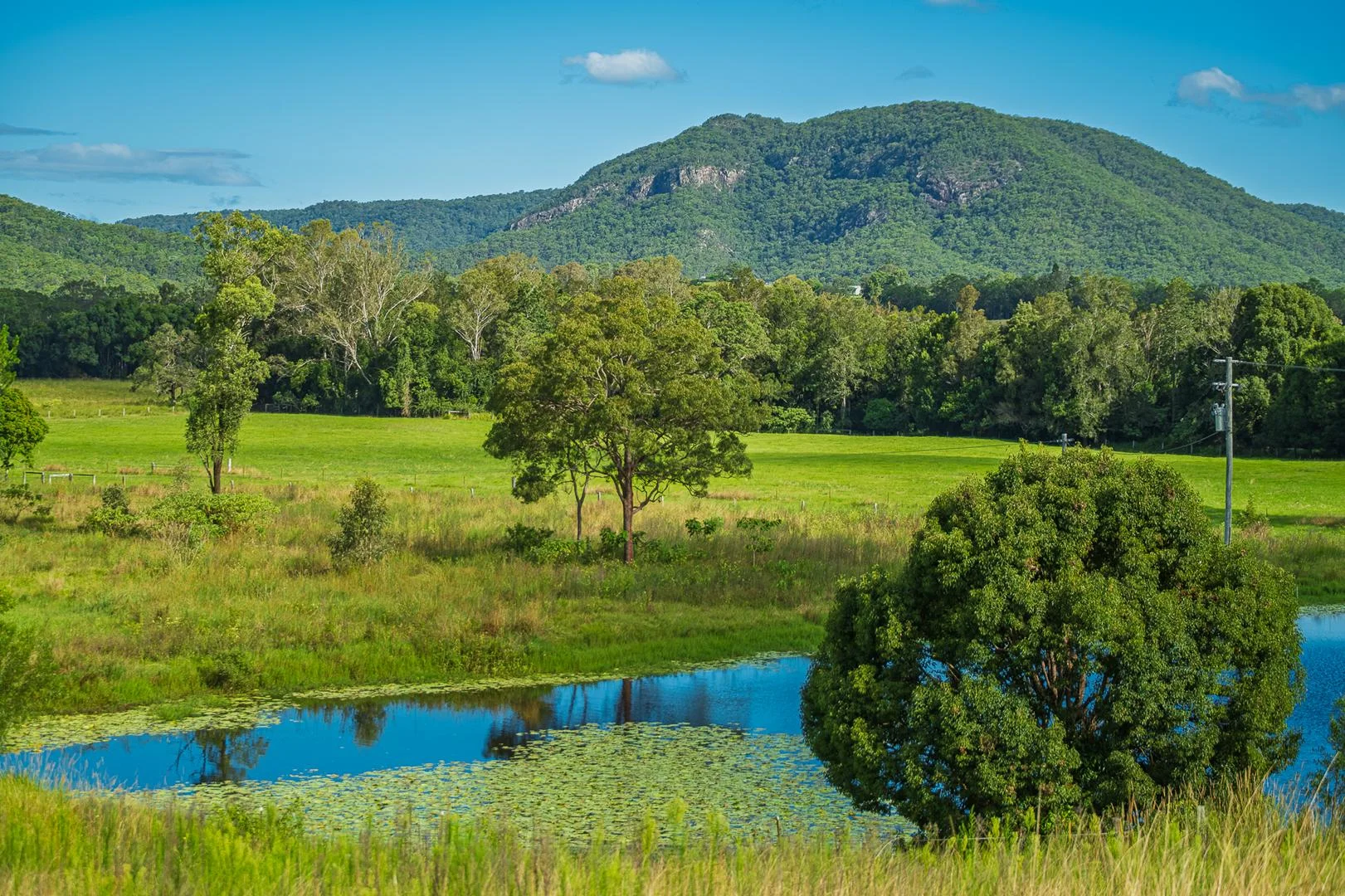 Additional image 50 of 40 McGinn Road, Gheerulla QLD 4574