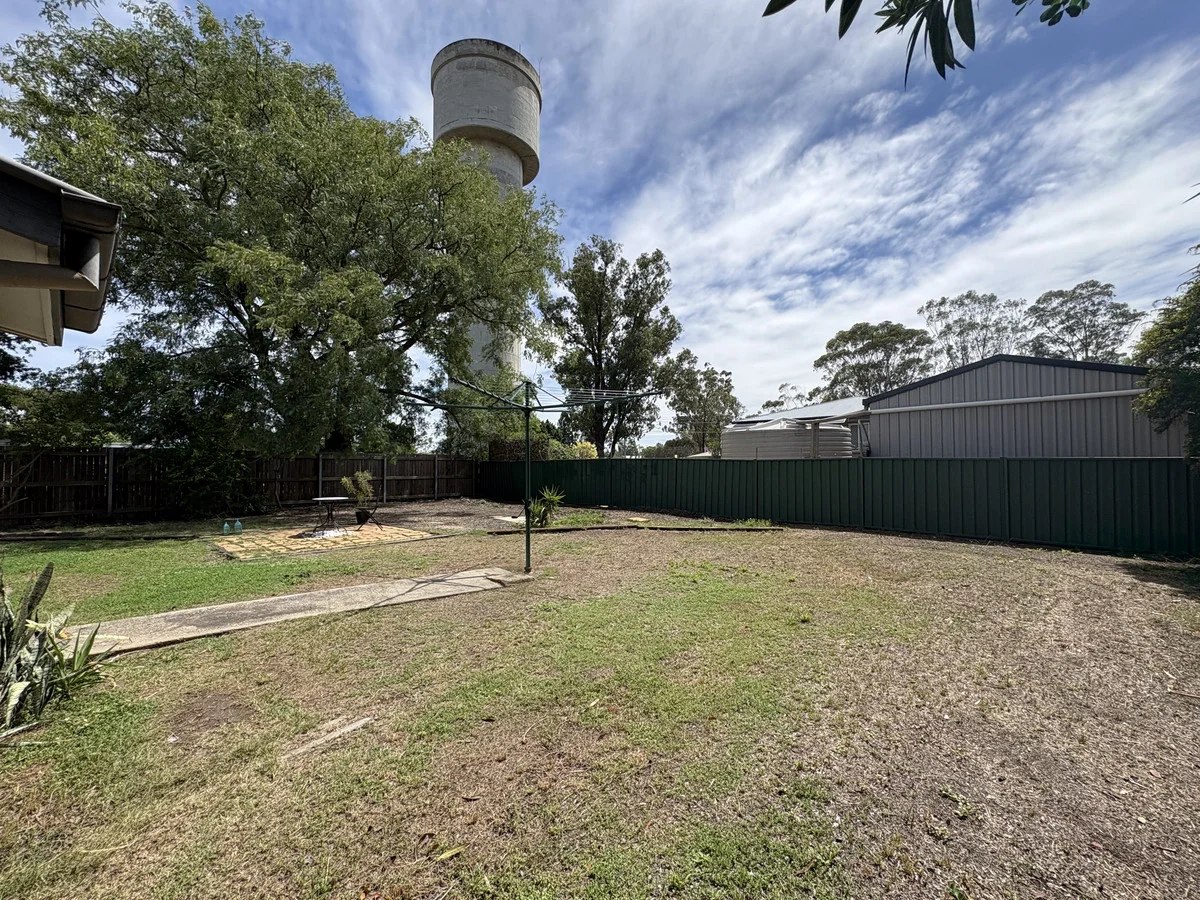 Image 19