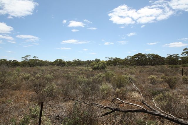 LOT 2 STURT HIGHWAY KOM via, Barmera SA 5345, Image 1