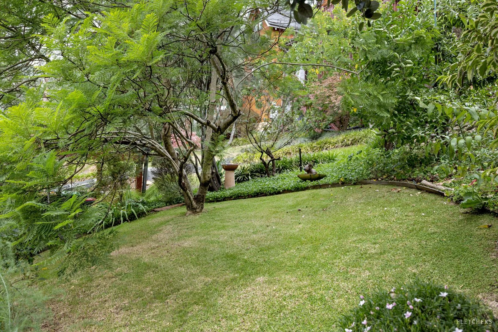 Image 22