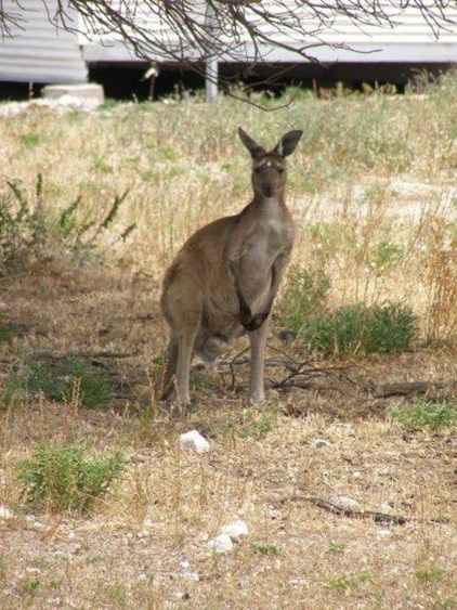 18 Holly Rise, COFFIN BAY SA 5607, Image 0