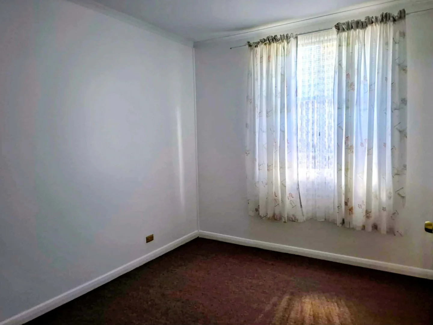 Additional image 14 of 37 Ninth Street, Renmark SA 5341