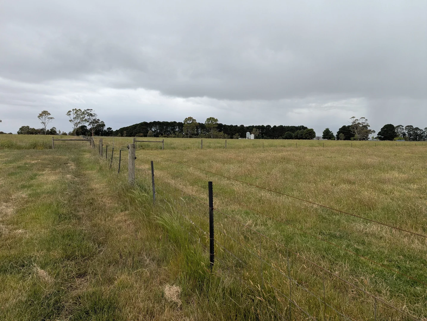 Image 12