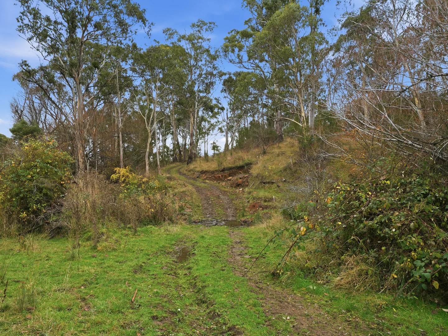 Image 22