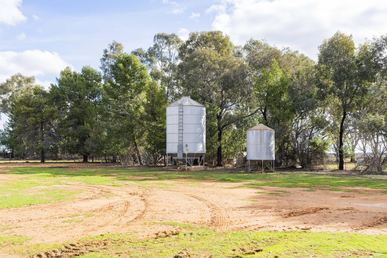 Image 15