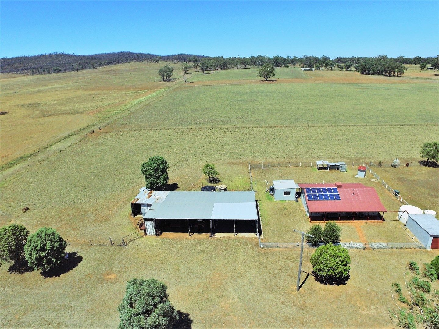 492 Sir Ivan Dougherty Drive, Dunedoo NSW 2844, Image 0