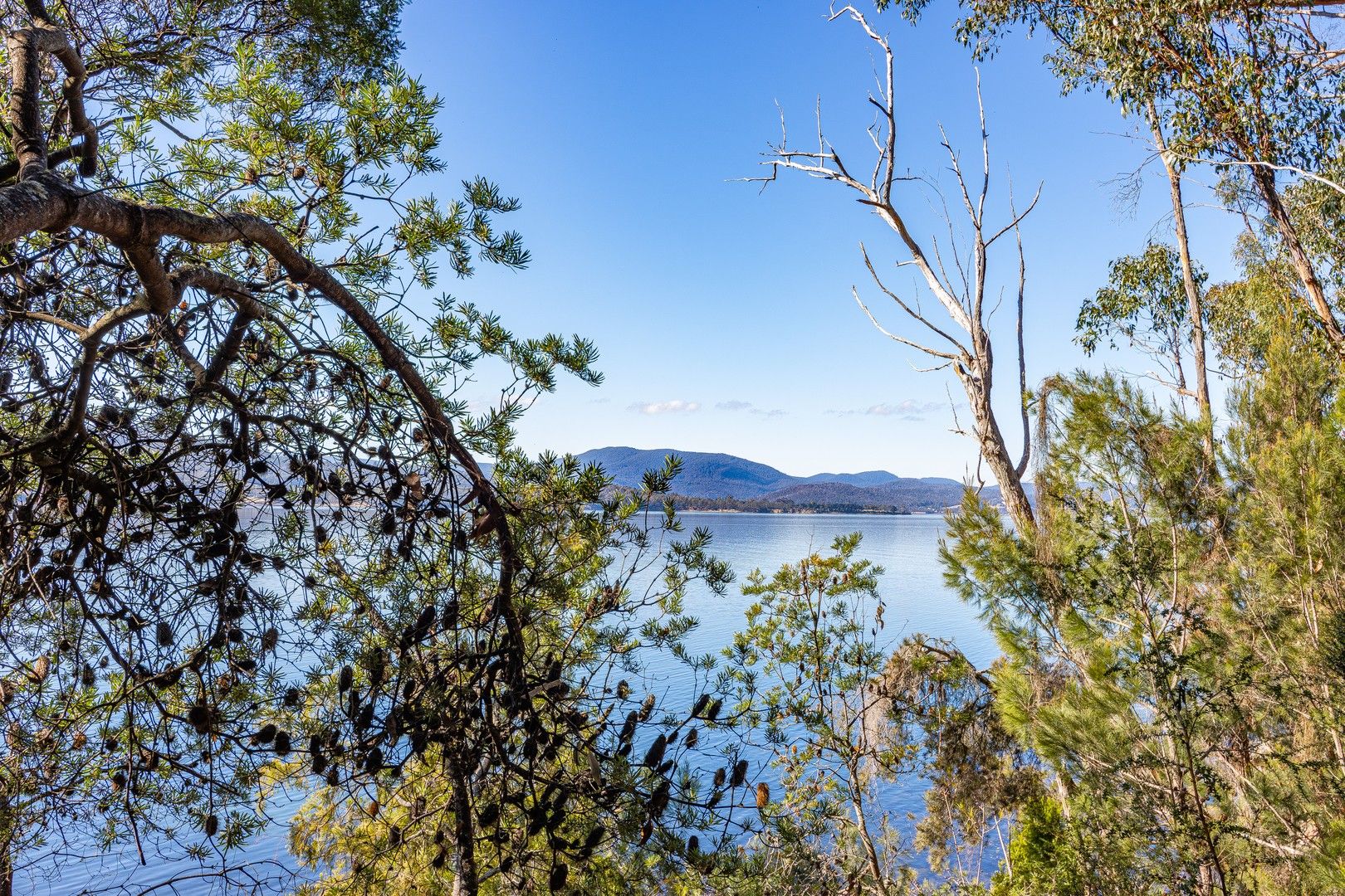 287 Esperance Coast Road, Brooks Bay TAS 7116 Vacant Land for Sale