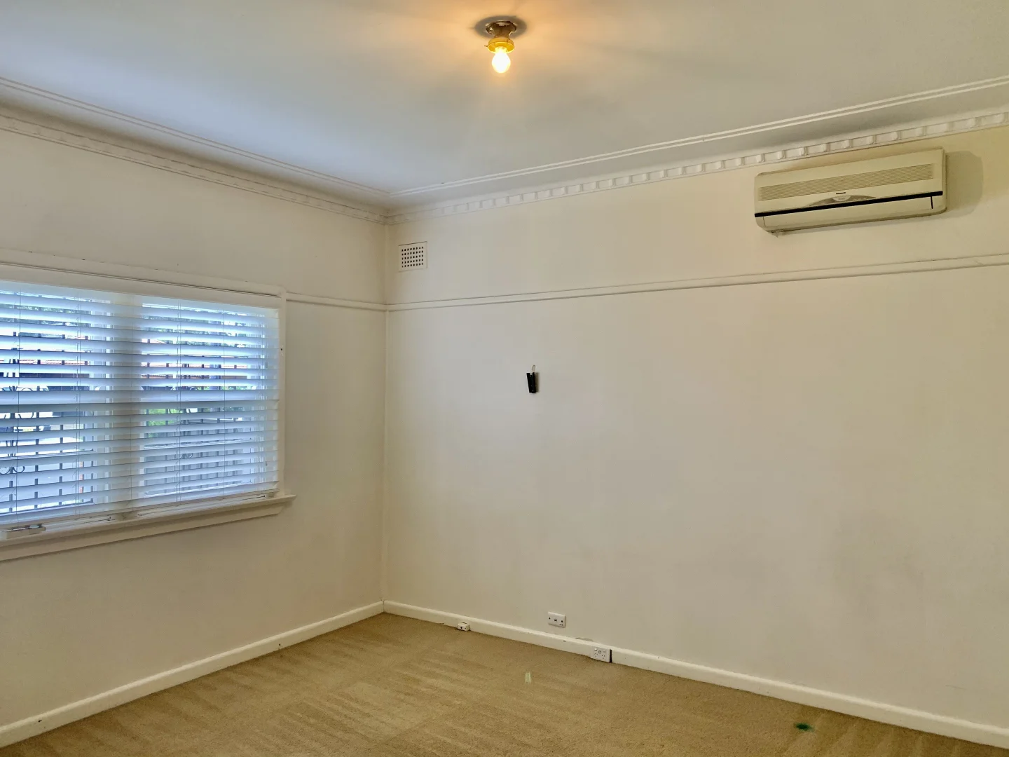 Additional image 9 of 29 Broad Street, Cabramatta NSW 2166