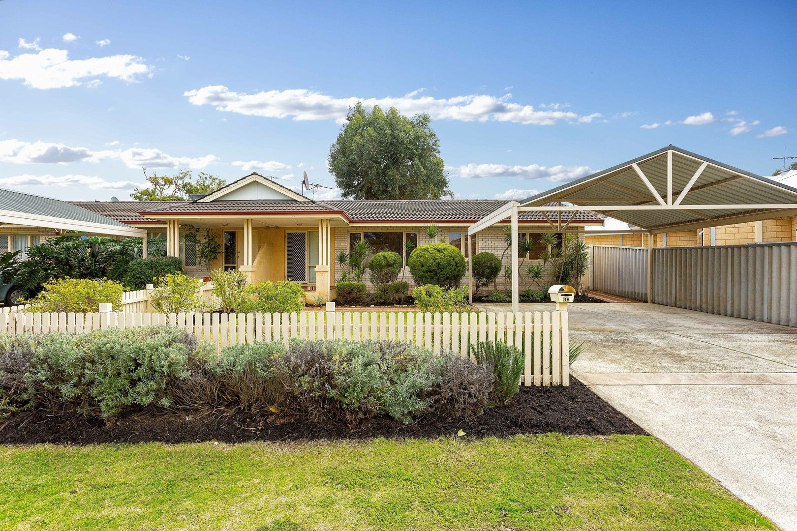 3 bedrooms House in 38 Archidamus Rd COOLBELLUP WA, 6163